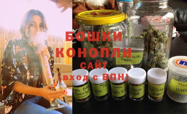 ГАЛЛЮЦИНОГЕННЫЕ ГРИБЫ Михайлов