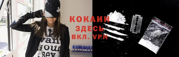 ГАЛЛЮЦИНОГЕННЫЕ ГРИБЫ Михайлов