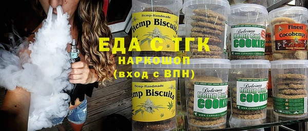 индика Медногорск