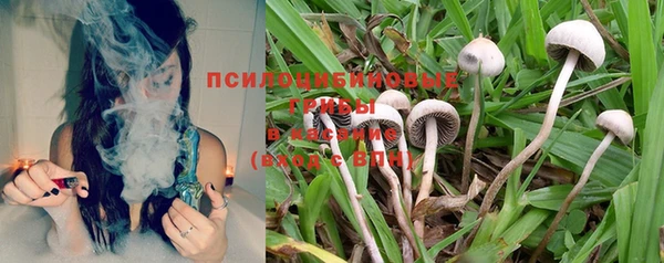 экстази Михайловка