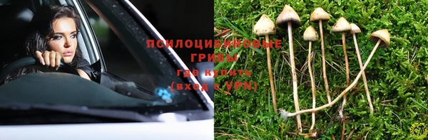 a pvp Михайловск