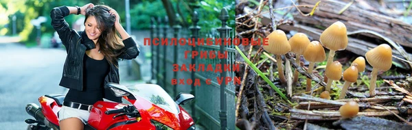 ГАЛЛЮЦИНОГЕННЫЕ ГРИБЫ Михайлов