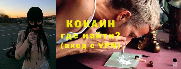 ГАЛЛЮЦИНОГЕННЫЕ ГРИБЫ Михайлов