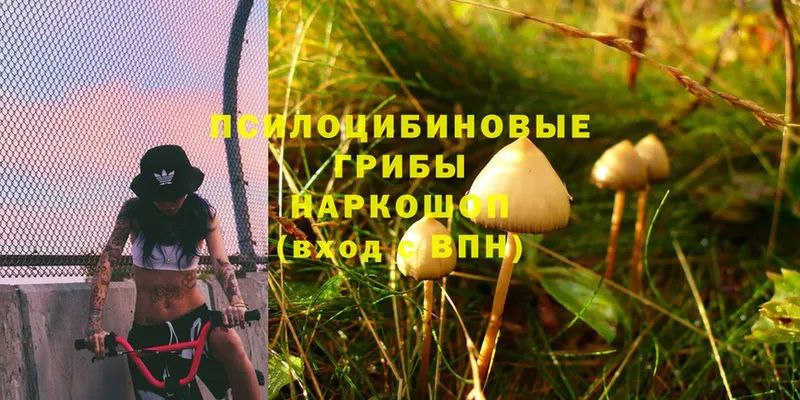 Псилоцибиновые грибы MAGIC MUSHROOMS  Лабытнанги 