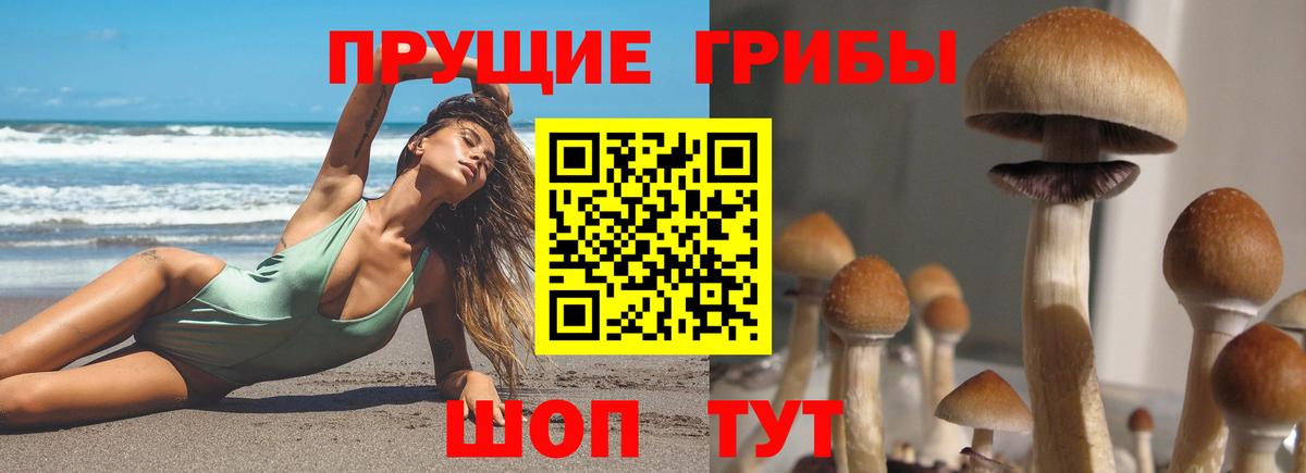 Галлюциногенные грибы MAGIC MUSHROOMS Лабытнанги